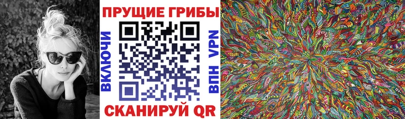 Псилоцибиновые грибы Cubensis  Морозовск 